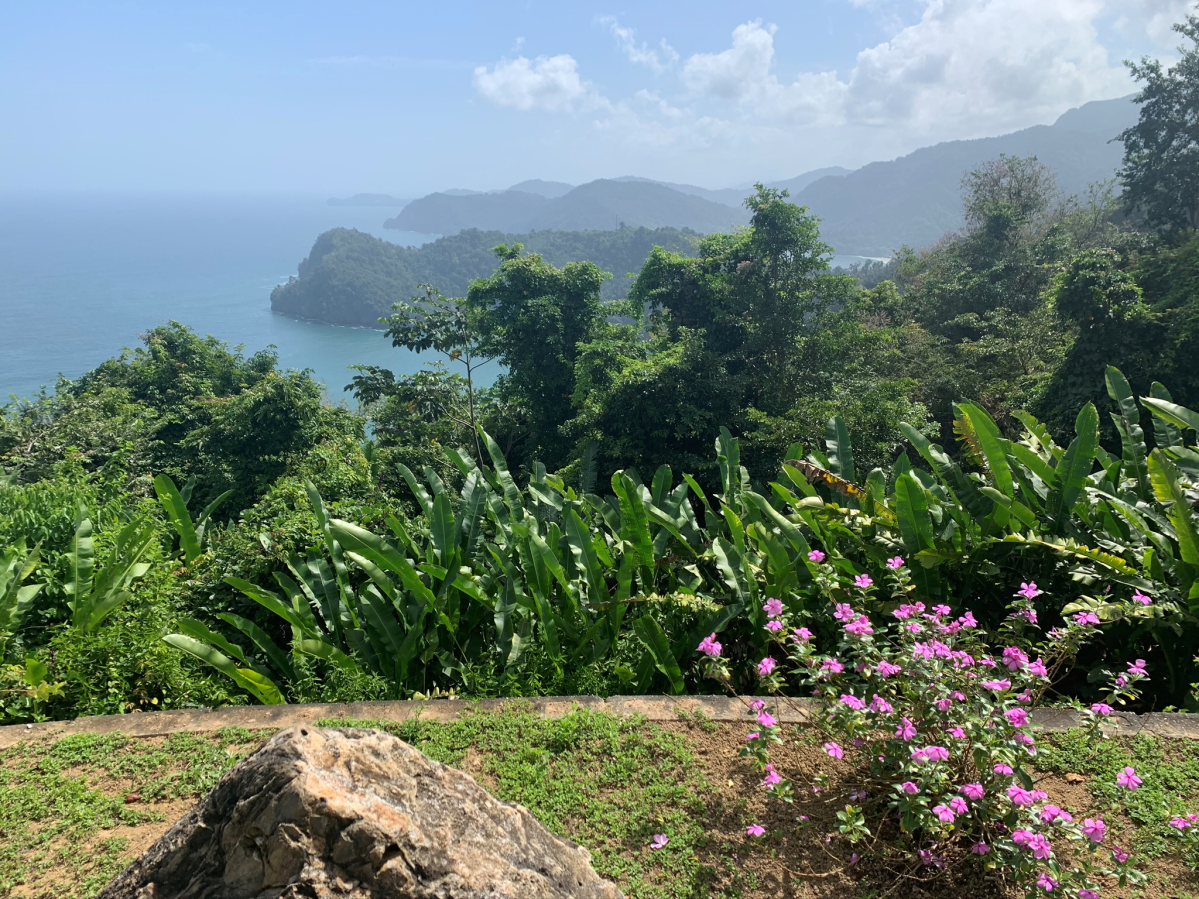 The GREATEST show on EARTH!!!! Pt.&nbsp;1